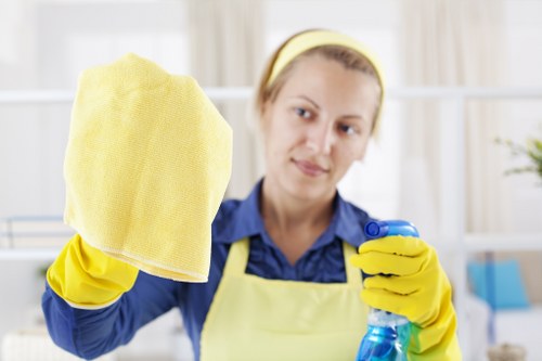 Woodside carpet cleaners starting an interior carpet cleaning service