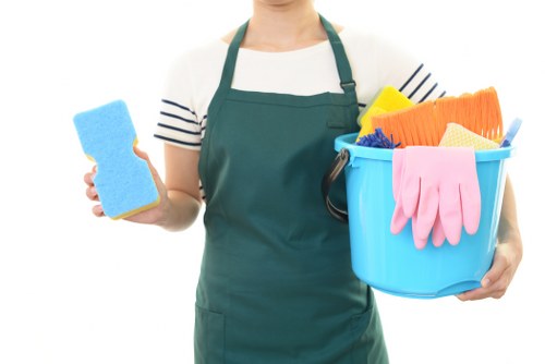 Steam carpet cleaning equipment in a Woodside home interior