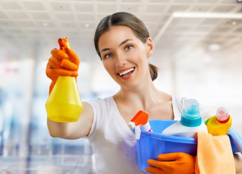 Professional carpet cleaning in a Woodside home living room