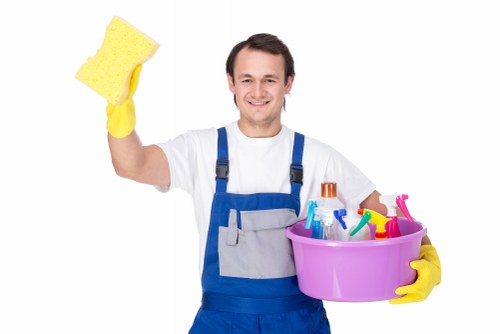 Professional carpet cleaning in a Woodside home living room