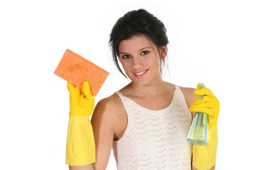 Professional carpet cleaning appointment booking and customer information