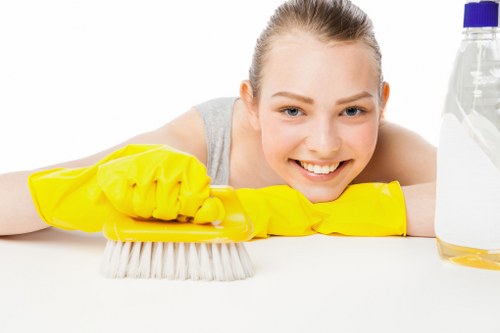 Staff training materials for professional carpet cleaning safety procedures