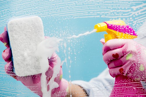 Deep cleaning equipment for business carpet care in Woodside