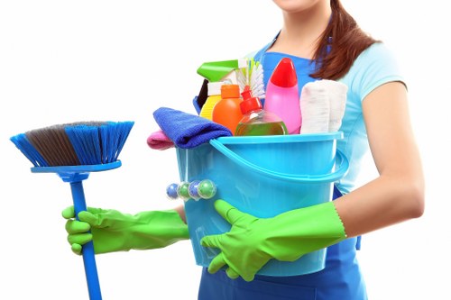 Carpet and upholstery pet stain odour removal service in Woodside