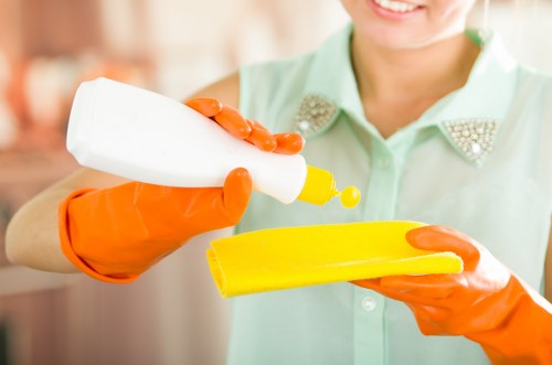 Rug maintenance and deep cleaning service