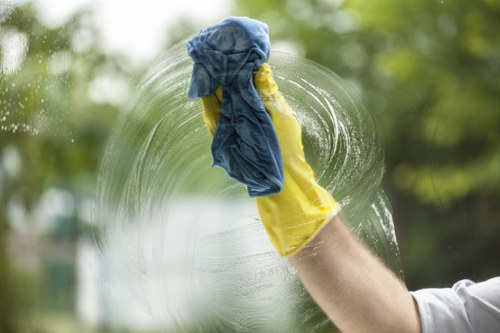 Visible pet stain and odour treatment in a Woodside residence