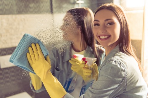 Stain removal for carpets, upholstery, and hard surfaces in Woodside