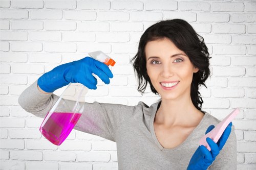 Technician performing a carpet cleaning risk assessment in a home