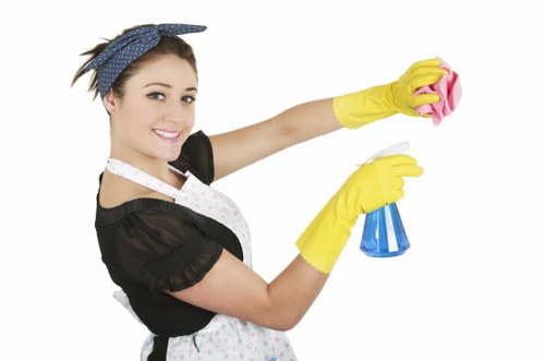 Cleaning products and safety controls for carpet care